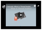 Cascoda: What Is a Thread leader?
